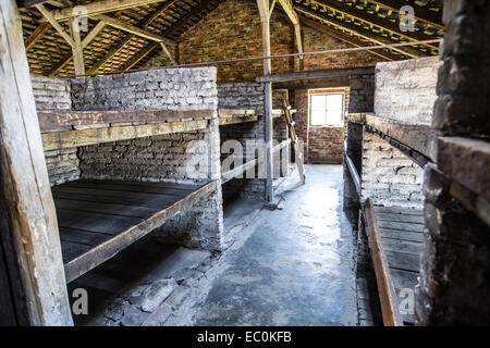 Gefangener Kojen in Auschwitz Birkenau KZ, Polen Stockfoto