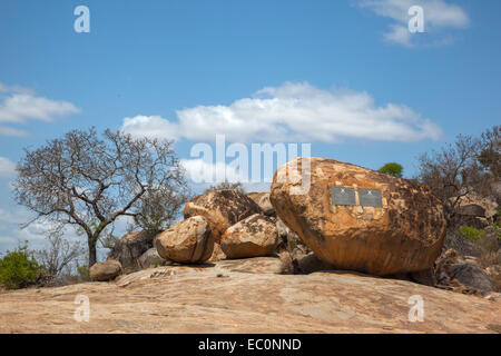 Krüger-Tabletten, Krüger Nationalpark, Südafrika Stockfoto