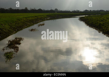 Der Fluß Parrett am Muchelney auf den Ebenen von Somerset UK Stockfoto