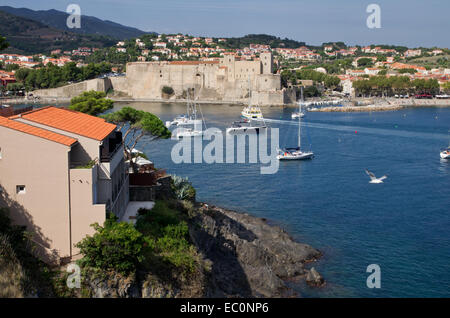 Collioure Hafen und Schloss Stockfoto