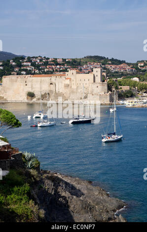 Collioure Hafen und Schloss Stockfoto