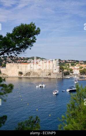 Collioure Hafen und Schloss Stockfoto