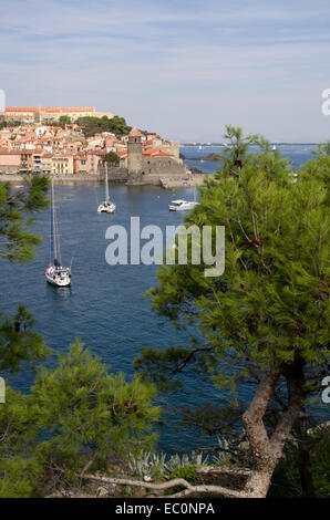 Collioure Hafen und Kirche Stockfoto