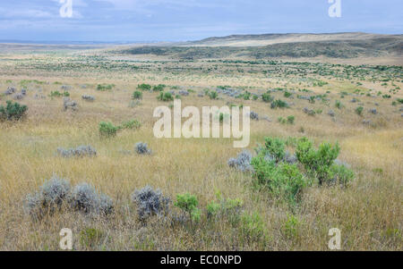 Offenen Prärie, Grünland, und trockenes Gestrüpp und Hügel unter einem hellen Himmel in der Nähe von Vermilion, Nebraska, USA. Stockfoto