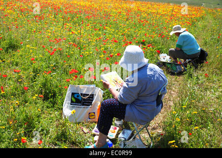 Zwei Künstler mit breitkrempigen Hüten malen ein Feld der rote Mohnblumen in der Sonne. Stockfoto