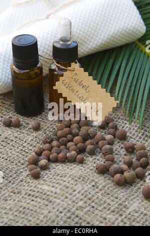 Eine Flasche Kubebenpfeffer ätherische Öl auf die Sackleinen. Kubebenpfeffer Beeren im Hintergrund Stockfoto