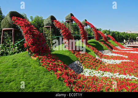 Ansicht von Blume Displays und Landschaftsgestaltung im Miracle Garden der weltweit größten Blumengarten in Dubai Vereinigte Arabische Emirate Stockfoto