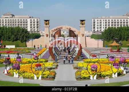 Anzeigen von Landschaftsgärten im Miracle Garden der weltweit größten Blumengarten in Dubai Vereinigte Arabische Emirate Stockfoto