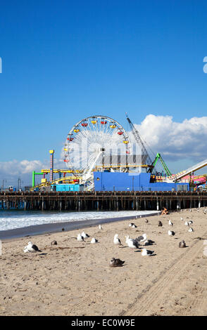 Blick auf Santa Monica Pier und Strand mit Möwen - ein lokales Wahrzeichen in Santa Monica, Kalifornien Stockfoto