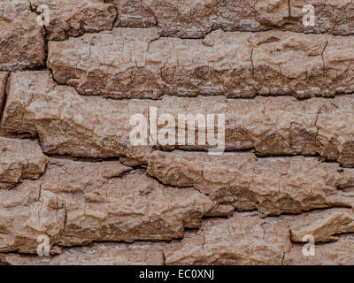 Baum Rinde Hintergrund für Tapeten oder Kunst. Stockfoto