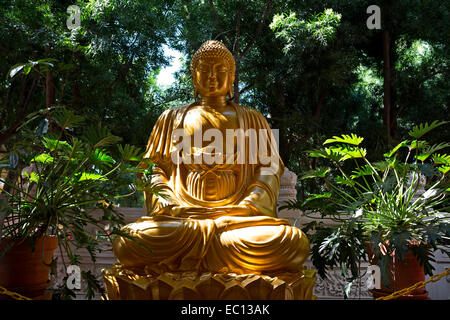 Statue von Sakyamuni Buddha Sakyamuni Buddha, Buddha, buddhistische Tempel, Hsi Lai Tempel, Stadt der Hacienda Heights, Los Angeles County, Kalifornien Stockfoto