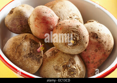 Frische rohe rote Beete Rüben Stockfoto