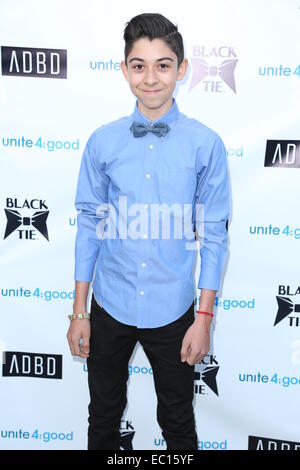 Black Tie Emporium-Launch-Party im ADBD - Ankünfte mit statt: Fabrizio Guido wo: Los Angeles, California, Vereinigte Staaten von Amerika als: 3. Juni 2014 Stockfoto