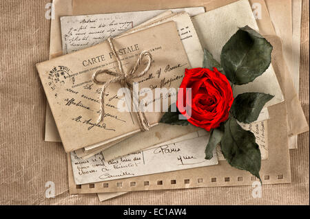 rote rose Blume und alte Briefe. alte Ansichtskarten und Papiere. Sammelalbum Stockfoto