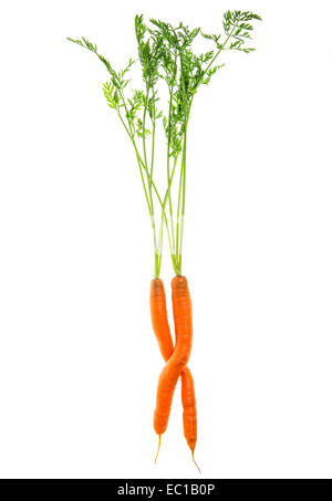 Karotten mit grünen Blättern, die isoliert auf weißem Hintergrund. frisches rohes Gemüse. Food-Konzept Stockfoto