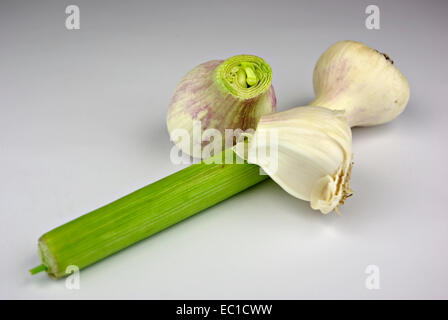 Biologisch angebaute Knoblauch und Lauch Kochen vorbereitet und isoliert auf weißem Hintergrund. Stockfoto