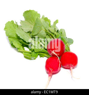 Haufen von Radieschen, isoliert auf weiss. Stockfoto