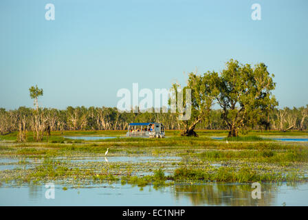 Gelbes Wasser Billabong mit Ausflugsschiff, Kakadu, Australien Stockfoto