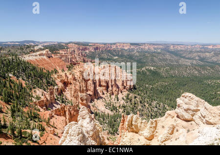 Bryce Canyon, Rainbow Point, Utah, Amerika Stockfoto