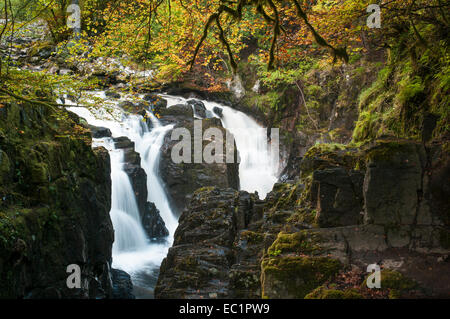 Ein Wasserfall schneiden durch felsige bewaldetes Gebiet im frühen Herbst. Stockfoto