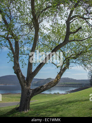 Th Frank E. Winsor Dam am Ausbau Stausee Stockfoto