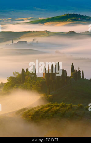 Das Belvedere im Morgengrauen, Morgennebel, Val d ' Orcia, Orcia-Tals, UNESCO-Weltkulturerbe, Provinz Siena, Toskana, Italien Stockfoto