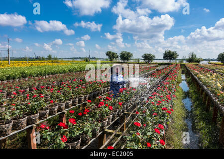 Arbeiter, Bewässerung, Blumen, Gärtnerei, Sa Dec, Long Xuyen, Mekong Delta, Vietnam Stockfoto