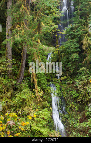 Wasserfall an der Eagle Creek Trail, Columbia River Gorge, Portland, Oregon, United States Stockfoto