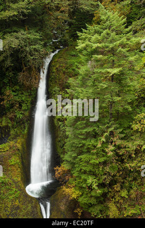 Wasserfall an der Eagle Creek Trail, Columbia River Gorge, Portland, Oregon, United States Stockfoto