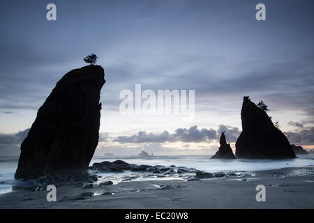Rialto Beach in Olympic National Park, La Push, Washington, United States Stockfoto