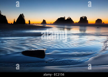 Shi shi Strand in Olympic National Park, Gabeln, Washington, United States Stockfoto