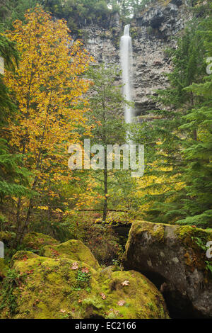 Watson fällt, Wasserfall im südlichen Kaskaden, Cascade Range, Roseburg, Oregon, United States Stockfoto