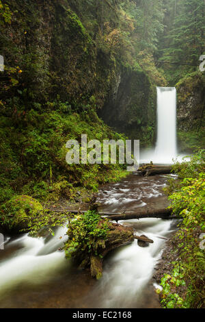 Wasserfall wiesendanger fällt in der Columbia River Gorge, Portland, Oregon, United States Stockfoto