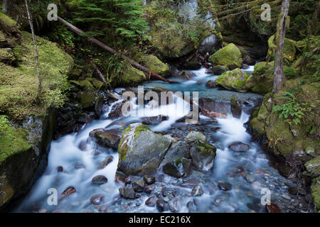 Leiter Creek Falls, newhalem, North Cascades National Park, Cascade Range, Washington, United States Stockfoto