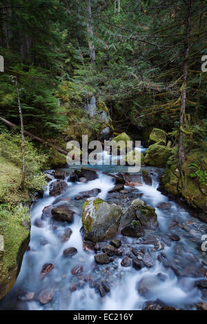 Leiter Creek Falls, newhalem, North Cascades National Park, Cascade Range, Washington, United States Stockfoto