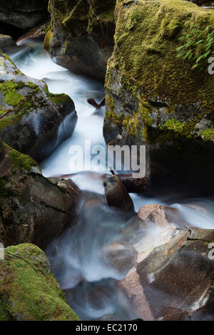 Leiter Creek Falls, newhalem, North Cascades National Park, Cascade Range, Washington, United States Stockfoto