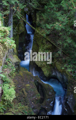 Leiter Creek Falls, newhalem, North Cascades National Park, Cascade Range, Washington, United States Stockfoto