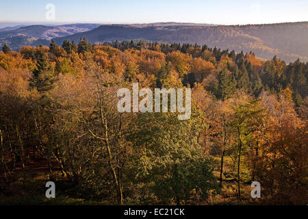 Teutoburger Wald im Herbst aus dem Hermannsdenkmal, Detmold, Ostwestfalen-Lippe, Nordrhein-Westfalen, Deutschland Stockfoto