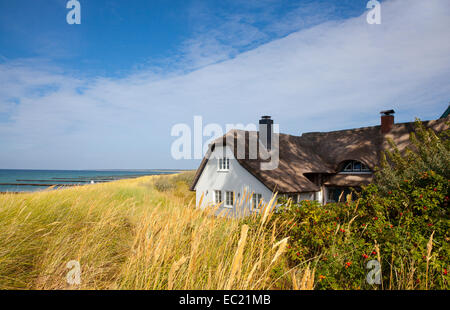 Reetdachhaus in den Dünen am Strand, Ostsee, Ahrenshoop, Fischland, Mecklenburg-Vorpommern Stockfoto
