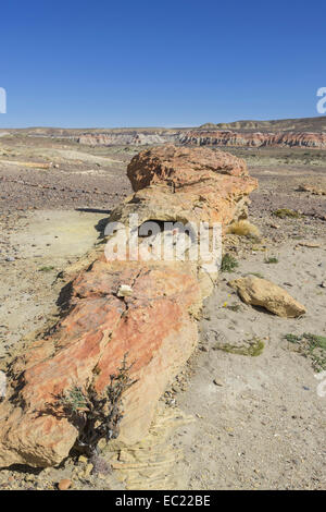 Der versteinerte Wald Bosque Petrificado National Monument, Sarmiento, Chubut, Argentinien Stockfoto