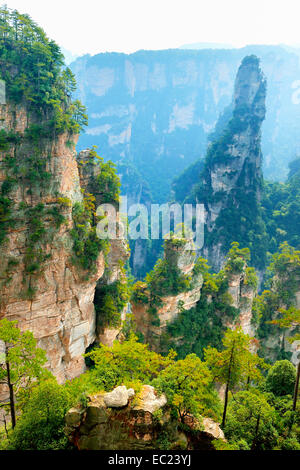 Avatar-Berge mit vertikalen Quarz-Sandstein Säulen, Zhangjiajie National Forest Park, Provinz Hunan, China Stockfoto