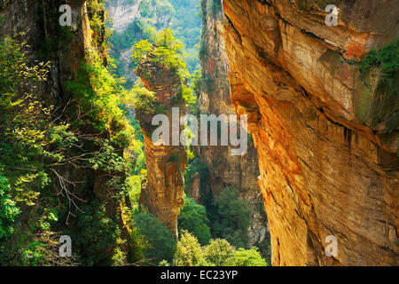 Avatar-Berge mit vertikalen Quarz-Sandstein Säulen, Zhangjiajie National Forest Park, Provinz Hunan, China Stockfoto