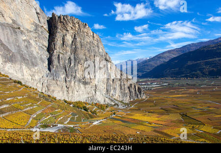 Weinberg in Chamoson, Wallis, Schweiz Stockfoto