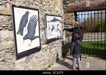 Mutter und Sohn schauen Display-Panels. Holyhead Wellenbrecher Country Park wurde im Jahr 1990 eröffnet und befindet sich auf dem Gelände ein Stockfoto