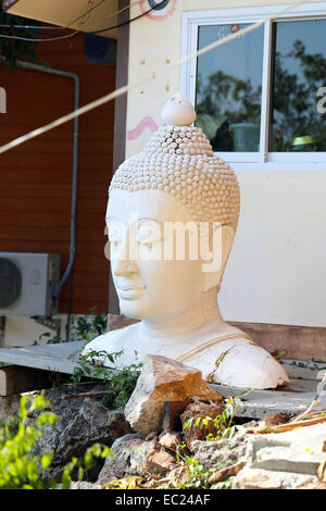 Der Kopf einer Buddha-Statue in Thailand Stockfoto