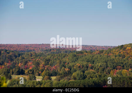 Bäume im Herbst Farbe in Ontario zu ändern. Stockfoto