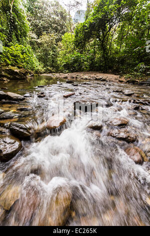 Fluss fließt durch den Regenwald in den Garten Eden, Gunung Mulu National Park, Sarawak, Malaysia Stockfoto