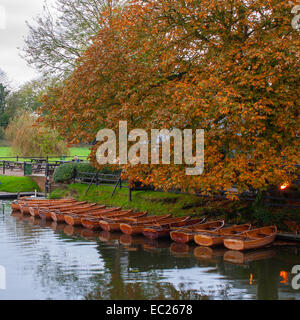 Landschaft-Szene in Dedham in der Nähe von Colchester Essex Stockfoto