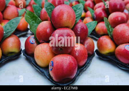 Frische rote Äpfel verkauft auf der Straße von Bangkok, Thailand Stockfoto