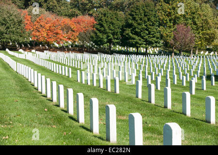 Friedhof von Arlington, Reihen von weißen Grabsteinen Stockfoto